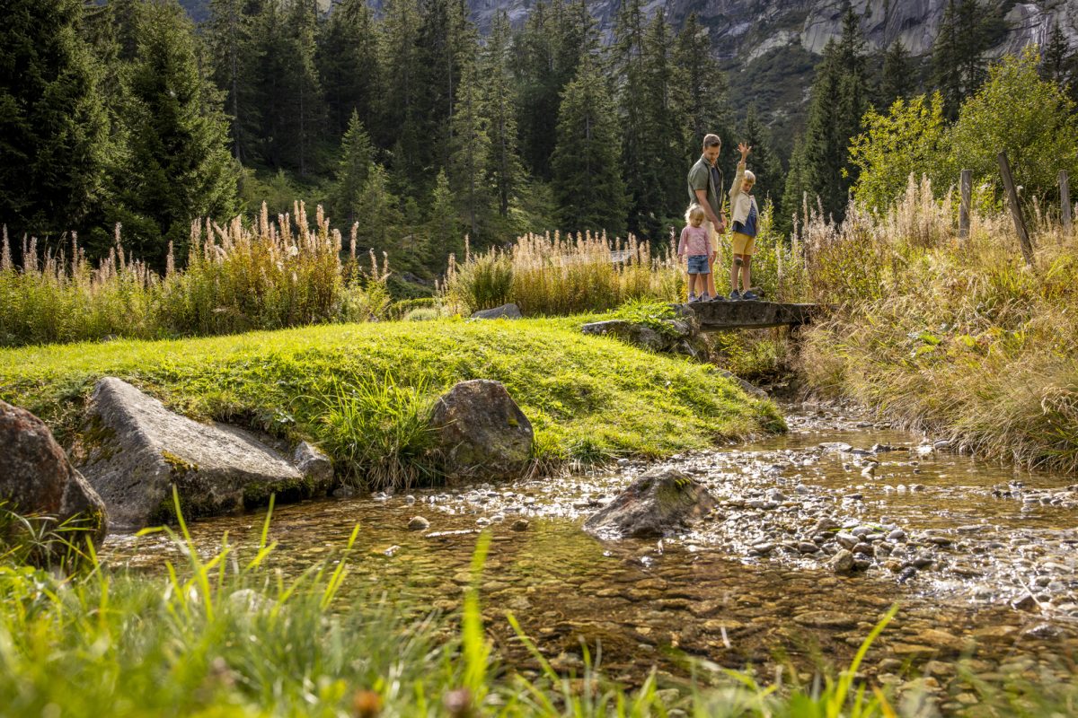 Hôtel Handeck Alpgarten
