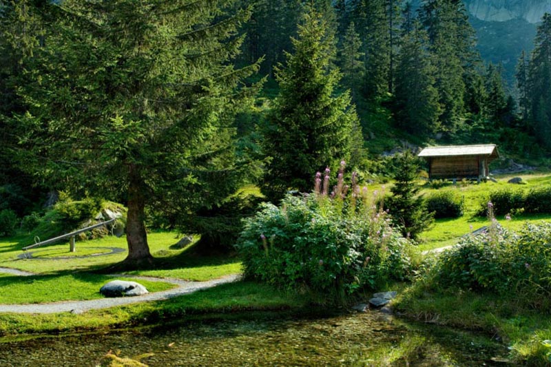 Alpgarten Wohlfühloase Hotel und Naturresort Handeck