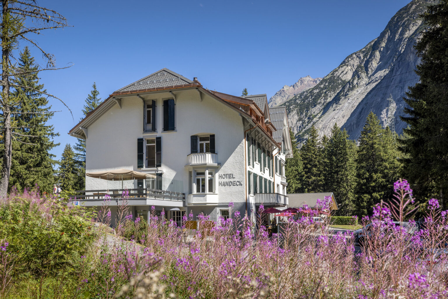 Hotel and Nature Resort Handeck Front