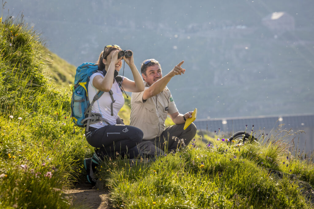 Ranger in der Oberaar
